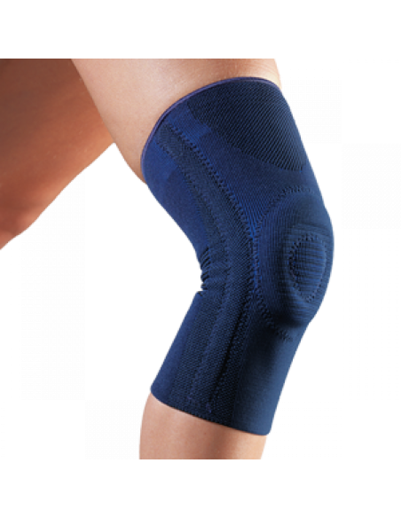 artigib ginocchiera legamenti gibaud