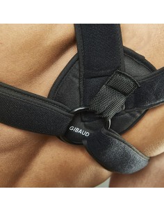 DR GIBAUD BLOCAGGIO CLAVICOLA 2