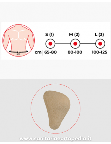 CINTO MONOLATERALE PER ERNIA INGUINALE CON PELOTE | SANITARIA