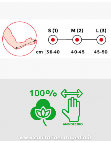 REGGIBRACCIO IN COTONE