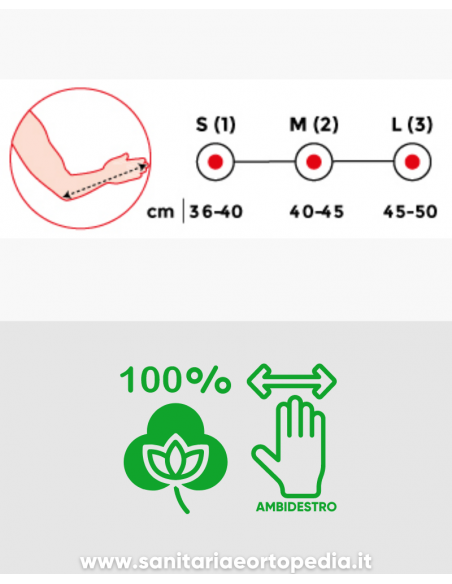 REGGIBRACCIO IN COTONE